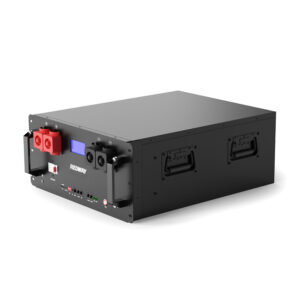 51.2V 200Ah 10kWh Server Rack Battery (5U)